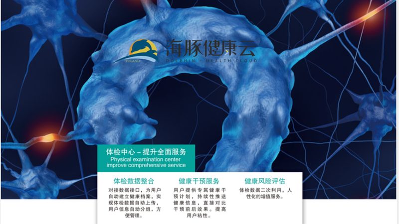单位体检报告查询接口：如何高效获取健康信息